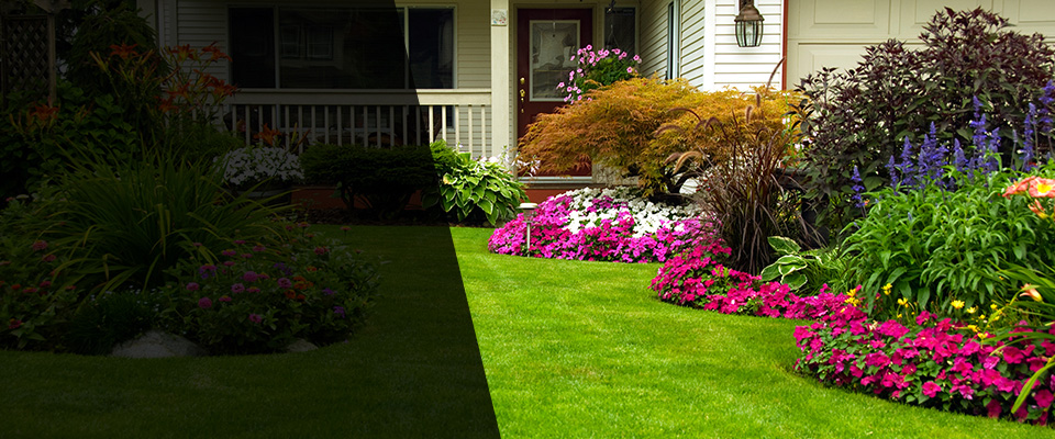 Wanda Landscapers