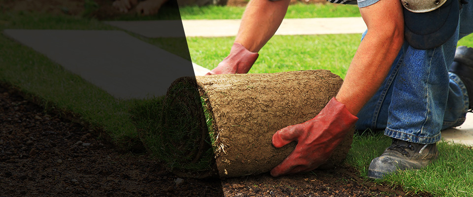 Wanda Landscapers